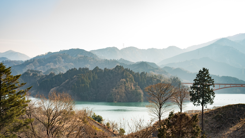 Japan can do views too.